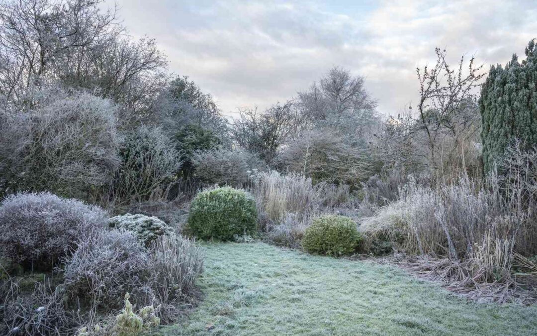 Why Autumn and Winter Are the Best Times to Plan Your Garden Makeover